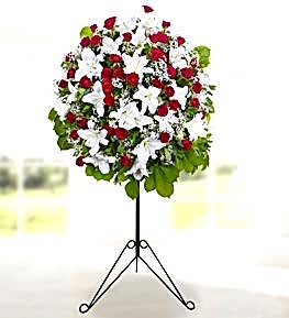 K�rm�z� G�l ve Lilyum Ferforje