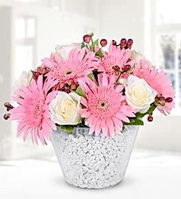 Seramikte Beyaz G�l ve Gerbera