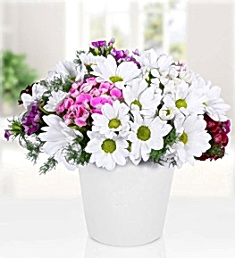 H�sn�yusuflu Papatya Vazosu