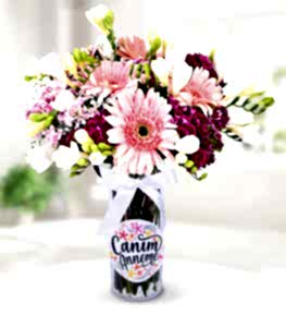 Renkli Bahar �i�ekleri