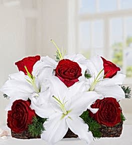 Beyaz Lilyum ve K�rm�z� G�l�n Asaleti
