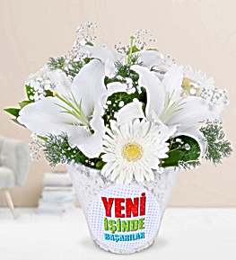 Yeni �� Temal� Lilyum Gerbera Aranjman�