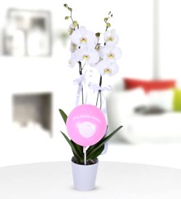 Ho� Geldin K�z Bebek Beyaz Orkide