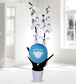 Ho� Geldin Erkek Bebek Beyaz Orkide