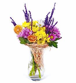 Kar���k Renkli Papatyalar