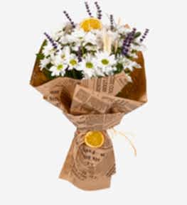 G�n�l �elen Papatyalar