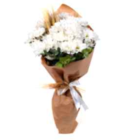 Beyaz R�yam Papatya Buketi