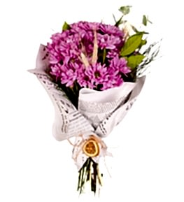 �nci Pembesi Papatya Buketi