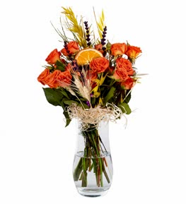 Turuncu �ardak G�ller