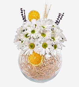 Beyaz Bahar Papatyalar