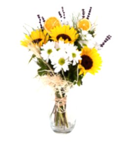 Vazoda Ay �i�e�i ve Papatyalar