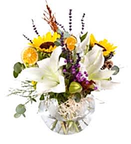 Mele�im Beyaz Lilyum ve Ay �i�e�i