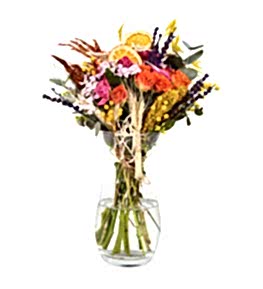 Turuncu �ardak G�l ve H�sn�yusuf �i�e�i