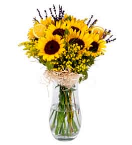 Vazoda Premium Ay�i�ekleri