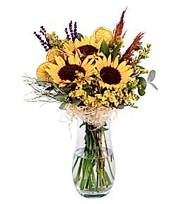 Cam Vazoda Sar� Ay�i�e�i