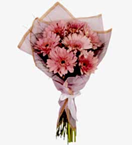 Bukette Pembe Gerberalar