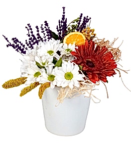 Seramikte K�rm�z� Gerbera ve Papatya