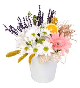 Seramikte Pembe Gerbera ve Beyaz Papatya