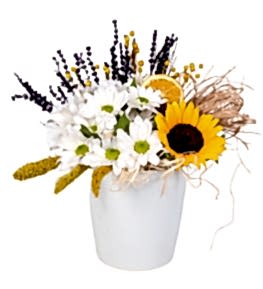 Seramik Saks�da Ay�i�e�i ve Beyaz Papatya