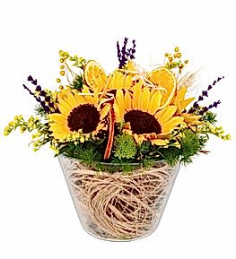 Konik Camda Sar� Ay�i�ekleri