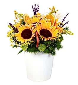 Seramik Vazoda Ay�i�ekleri Aranjman�