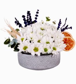 Saks�da Beyaz Papatya Aranjman�