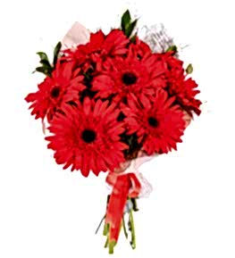 G�n�l Bahar� K�rm�z� Gerbera Buketi