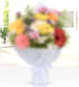 G�n�n �i�ek Buketi