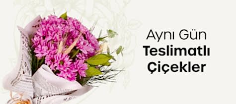 Tasar�m �i�ekler