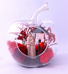 Solmayan Gül Canım Sevgilim