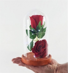 Bambu Küçük Işıklı Solmayan Gül