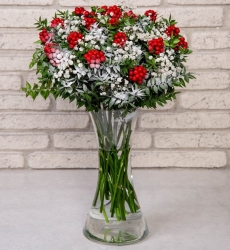 Kokina Yılbaşı Çiçeği