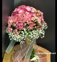 Ortanca Kalanşo Gelin Çiçeği