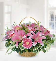 Pembe Lilyum ve Gerbera Sepet içerisinde pembe lilyum ve pembe gerbera ile hazırlanmıştır.