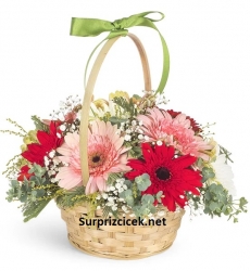 Renkli Çiçek Sepeti