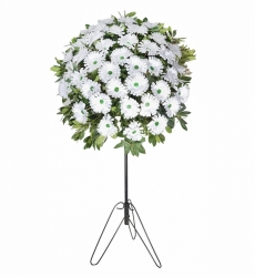 Beyaz yapay gerberalar ile hazırlanmış açılış, düğün, nişan ve nikah çiçeği.