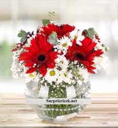 Mevsim Çiçeği Papatyalar