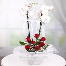 Çiftli Orkide ve Kırmızı Güller