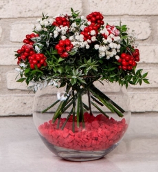 Akvaryum Vazoda Kokina Çiçeği