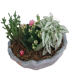 Kayık Taş Saksıda