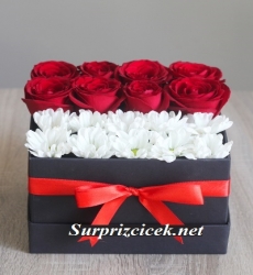 Kutuda Gül ve Papatya 