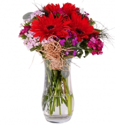 Hüsnüyusuf Kırmızı Gerbera