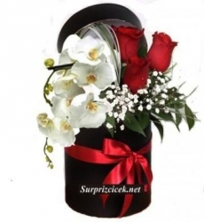 Kutuda Gül ve Beyaz Orkide