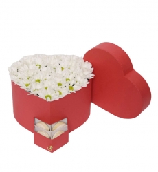 Kalp Kutuda Beyaz Papatyalar ve Makaronlar