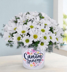 Canım Anneme Temalı Vazoda Papatyalar Canım anneme temalı seramik vazo içerisinde beyaz papatya ve yeşillikler ile hazırlanmıştır.