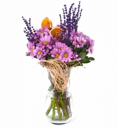 Pembe Taze Çiçek Papatyalar