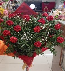 Kokina Buketi Gemlik