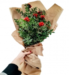 Kokina Yılbaşı Buketi