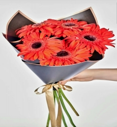 Kırmızı Gerbera Buketi .