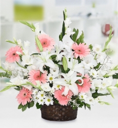 Gerbera ve Papatya Sepeti